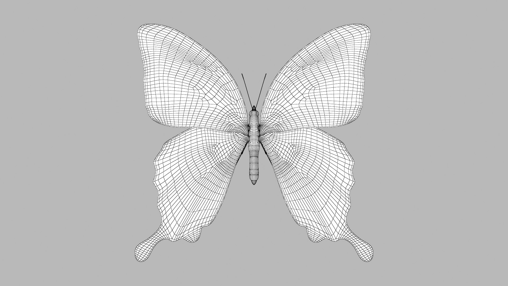 butterfly monarch 3D model https://p.turbosquid.com/ts-thumb/WB/o9vQwV/RTPXalSh/greenpapilio_r1w/png/1596266737/1920x1080/fit_q87/e6679f5c17646d551c42d8f2b83366d4ed0b40d7/greenpapilio_r1w.jpg