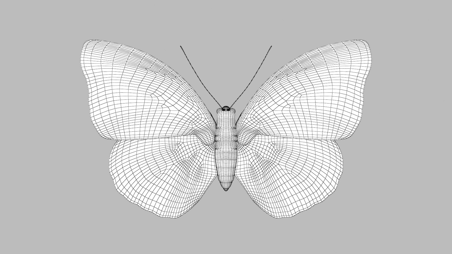 butterfly monarch 3D model https://p.turbosquid.com/ts-thumb/WB/o9vQwV/T0m7CzPB/agriasamydon_r1w/png/1596266711/1920x1080/fit_q87/57f305c2aec751978342211a4b73382e3805bff6/agriasamydon_r1w.jpg