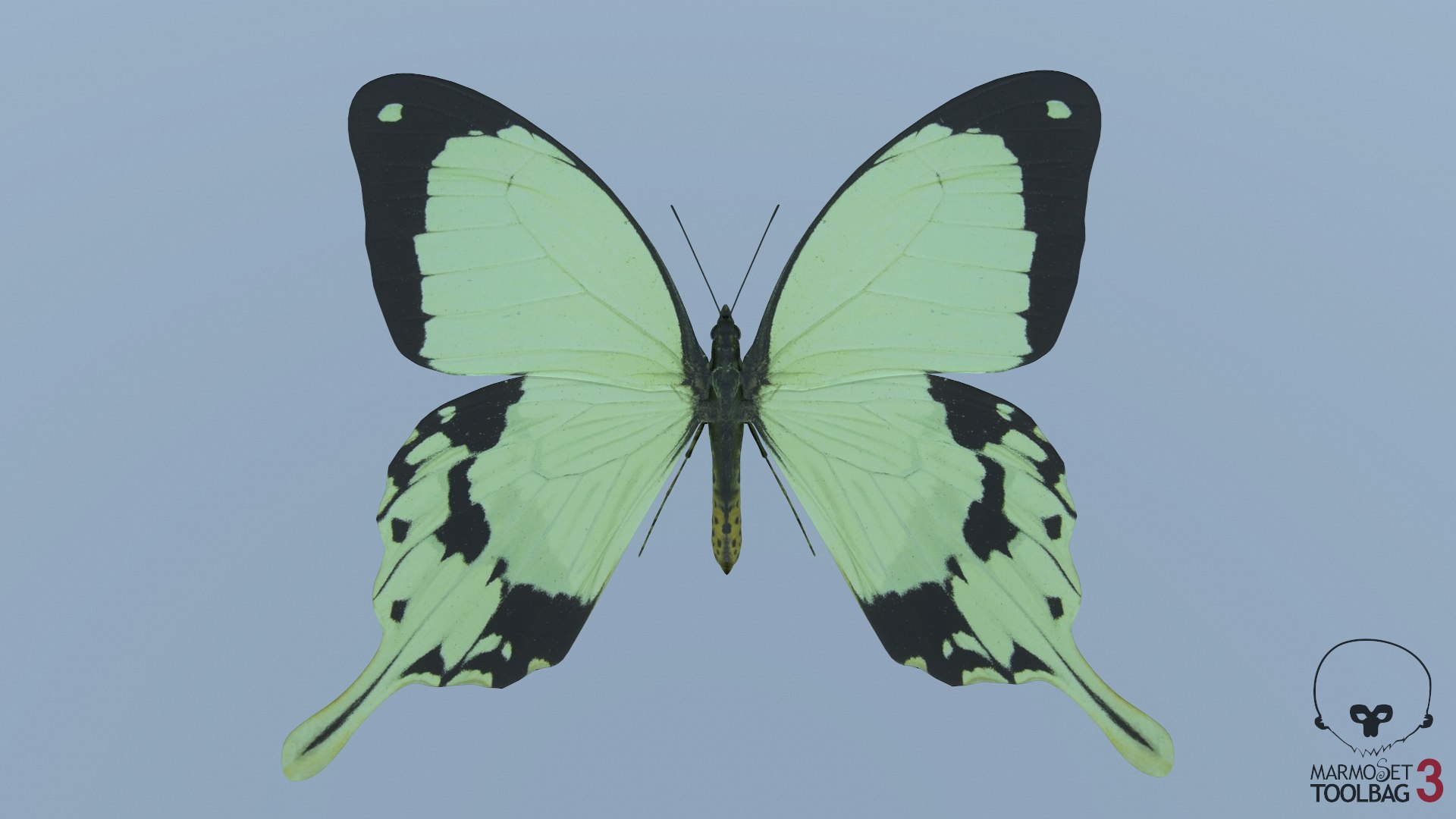 butterfly monarch 3D model https://p.turbosquid.com/ts-thumb/WB/o9vQwV/lHTstUSd/screenshot1888/png/1596266805/1920x1080/fit_q87/5600fb57d4a3e086d518462f986b49024c487e02/screenshot1888.jpg