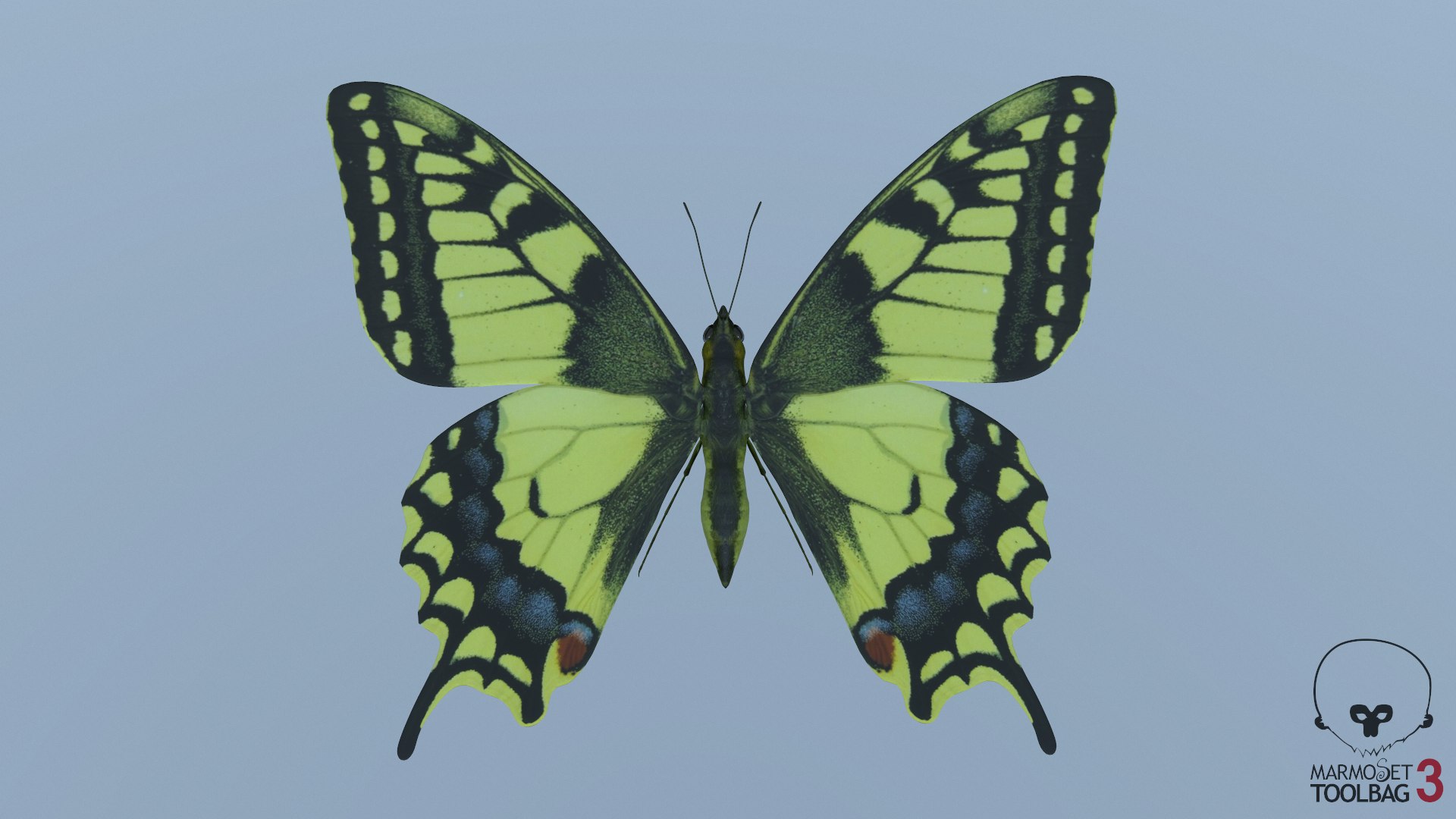 butterfly monarch 3D model https://p.turbosquid.com/ts-thumb/WB/o9vQwV/tIrR9zUP/screenshot1889/png/1596266805/1920x1080/fit_q87/7fc7ed08a9edf648f57415f6df03adb10a4d2960/screenshot1889.jpg