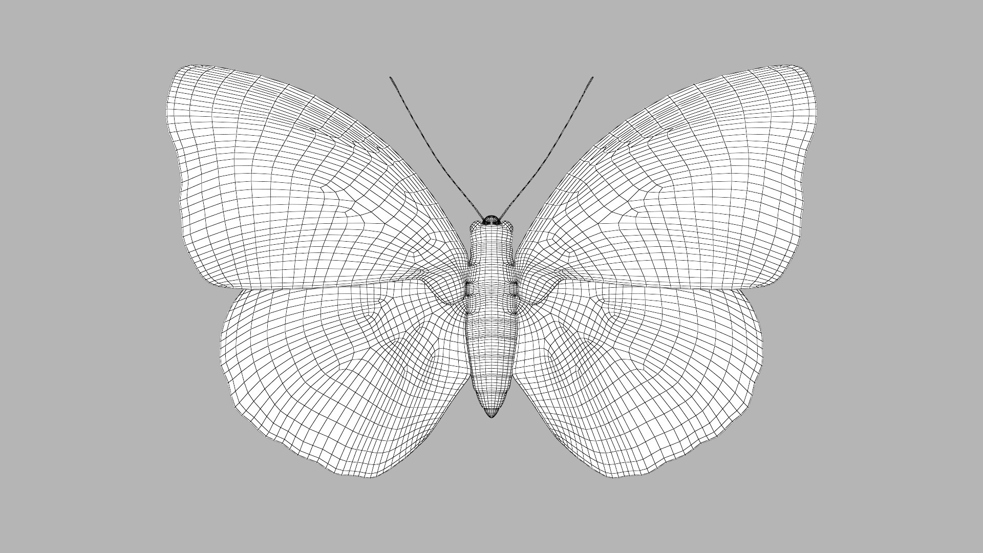 butterfly monarch 3D model https://p.turbosquid.com/ts-thumb/WB/o9vQwV/ubbFEXXX/bluebanner_r1w/png/1596266729/1920x1080/fit_q87/9df15b89b9400f98063c04739588cf832599ce2c/bluebanner_r1w.jpg