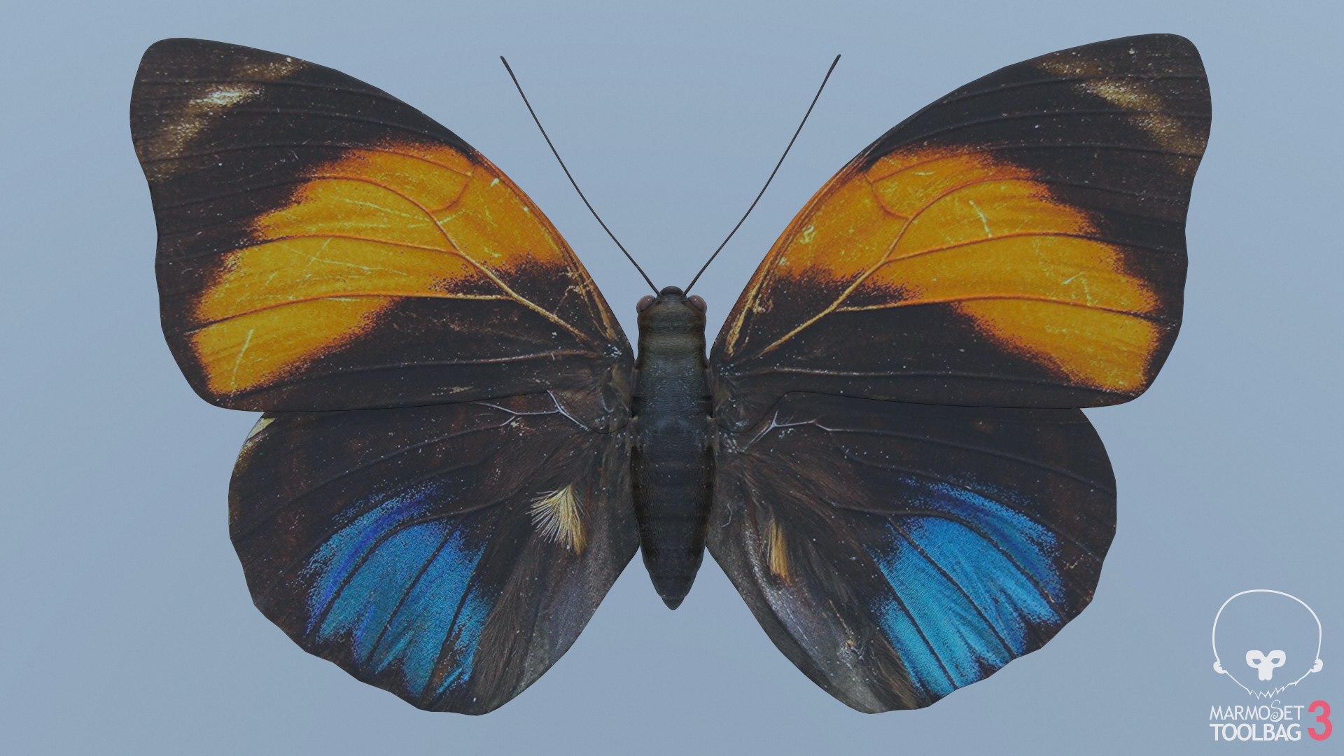 butterfly monarch 3D model https://p.turbosquid.com/ts-thumb/WB/o9vQwV/xWVNVNu5/screenshot1846/png/1596266802/1920x1080/fit_q87/385f64946befe546180a263802fe1c9c786b75e5/screenshot1846.jpg