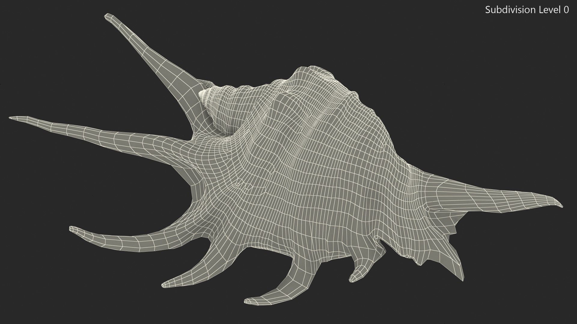 3D Lambis Truncata Shell https://p.turbosquid.com/ts-thumb/WB/uNh9gA/Dv/lambistruncatashellc4dmodel017/jpg/1666183755/1920x1080/fit_q87/fb25a01916b590104e63a1a459f9c321050210f8/lambistruncatashellc4dmodel017.jpg