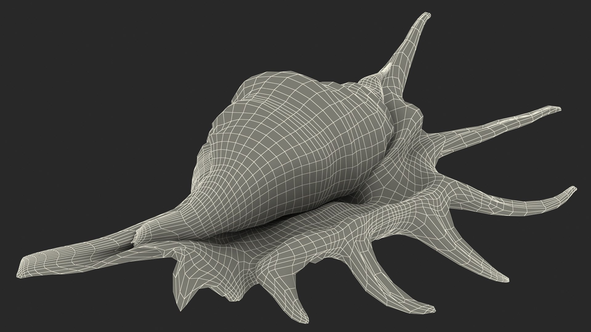 3D Lambis Truncata Shell https://p.turbosquid.com/ts-thumb/WB/uNh9gA/jB/lambistruncatashellc4dmodel024/jpg/1666183786/1920x1080/fit_q87/ea1c3b38b8cf86240f9bcdb97e3ca01f6f1b3e30/lambistruncatashellc4dmodel024.jpg