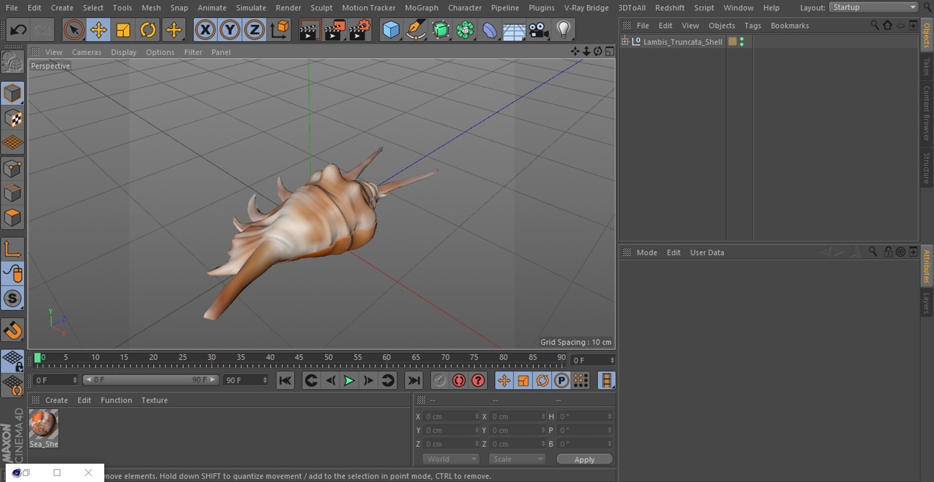 3D Lambis Truncata Shell https://p.turbosquid.com/ts-thumb/WB/uNh9gA/rd/lambistruncatashellc4dmodel034/jpg/1666183794/1920x1080/fit_q87/7ae2a7b4da3f0a378c32f59c6dbbab9fab306283/lambistruncatashellc4dmodel034.jpg