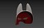 Fox Mask