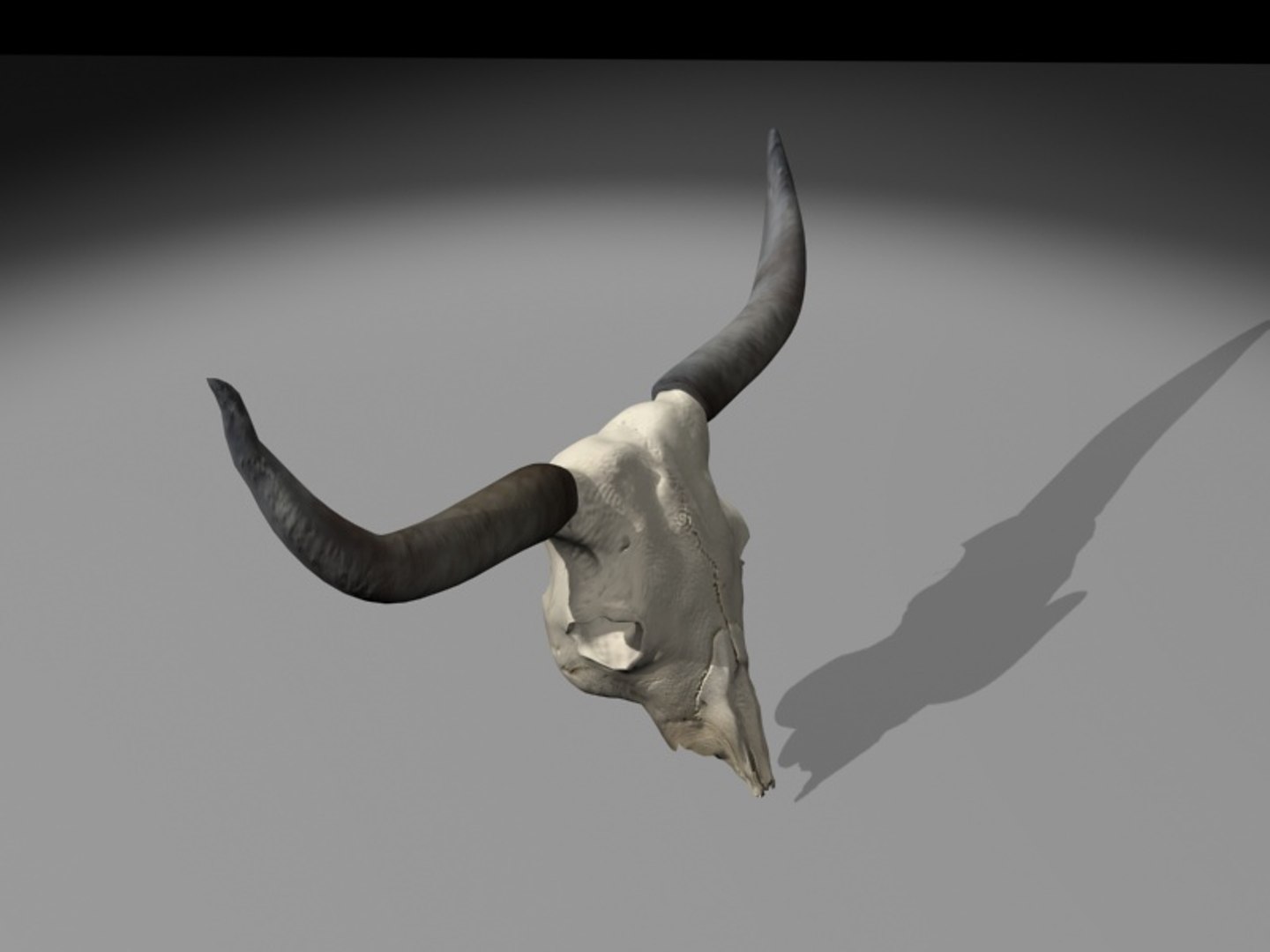 longhorn horn 3d model https://p.turbosquid.com/ts-thumb/WB/wBKNyT/2O5g2n2r/longhorn_turn0010/jpg/1368603170/1920x1080/fit_q87/c6805826ea5bc19742e94357c6cb76b6ec88e921/longhorn_turn0010.jpg