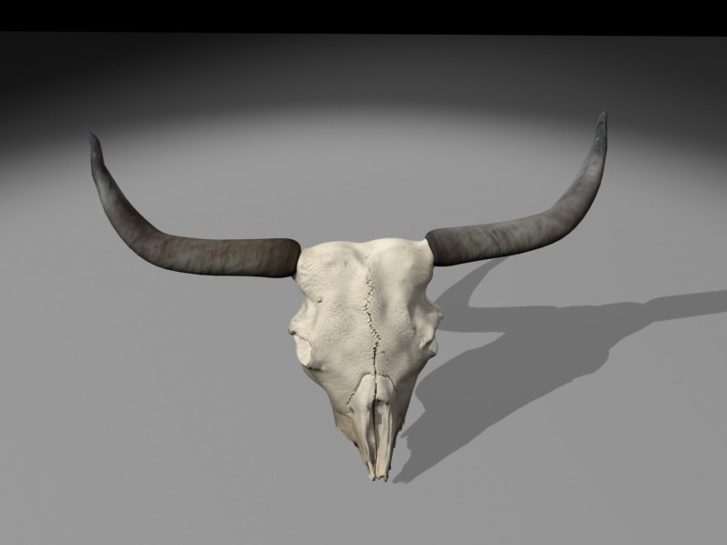 longhorn horn 3d model https://p.turbosquid.com/ts-thumb/WB/wBKNyT/2qJlCSfE/longhorn_turn0007/jpg/1368603169/1920x1080/fit_q87/744359b976f61fb3078130bf90c52eab99b66a47/longhorn_turn0007.jpg