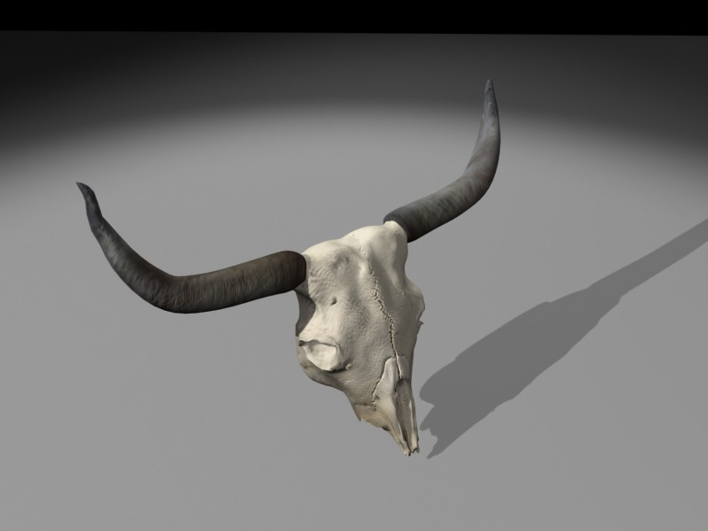 longhorn horn 3d model https://p.turbosquid.com/ts-thumb/WB/wBKNyT/3sM6MgDs/longhorn_turn0009/jpg/1368603169/1920x1080/fit_q87/9d87bb589e6c818089af3e5e0cb112ddb64e69d0/longhorn_turn0009.jpg
