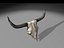 longhorn