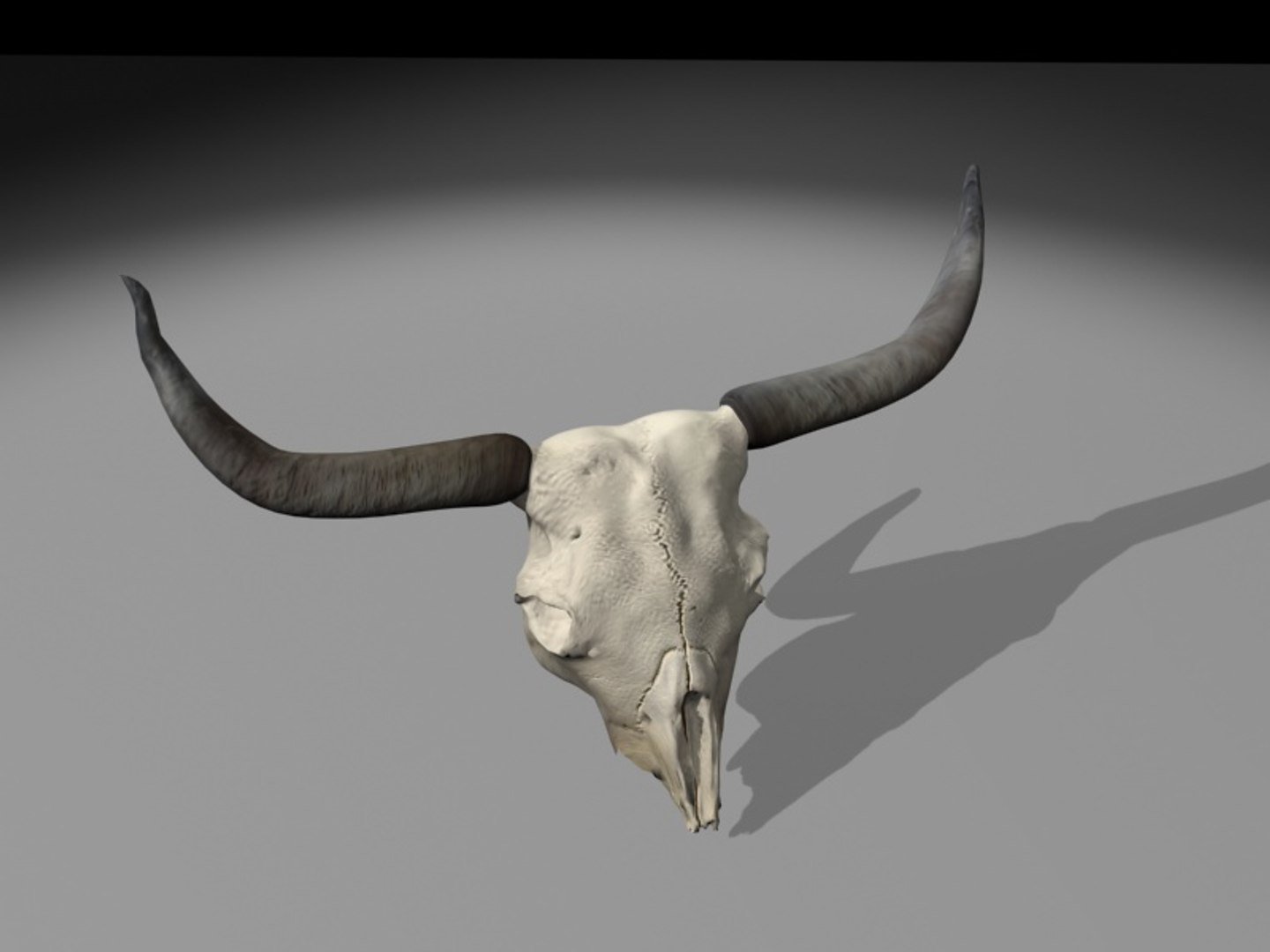 longhorn horn 3d model https://p.turbosquid.com/ts-thumb/WB/wBKNyT/BOtpxGeT/longhorn_turn0008/jpg/1368603169/1920x1080/fit_q87/d5dd4661e6c271f77ed626d48c0f12b042418874/longhorn_turn0008.jpg