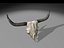 longhorn