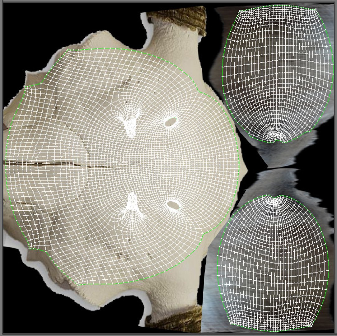 longhorn horn 3d model https://p.turbosquid.com/ts-thumb/WB/wBKNyT/CJJXoFGr/longhornuvw/jpg/1368603169/1920x1080/fit_q87/3e5317085601856f55d9556a0c4f52442280cac1/longhornuvw.jpg
