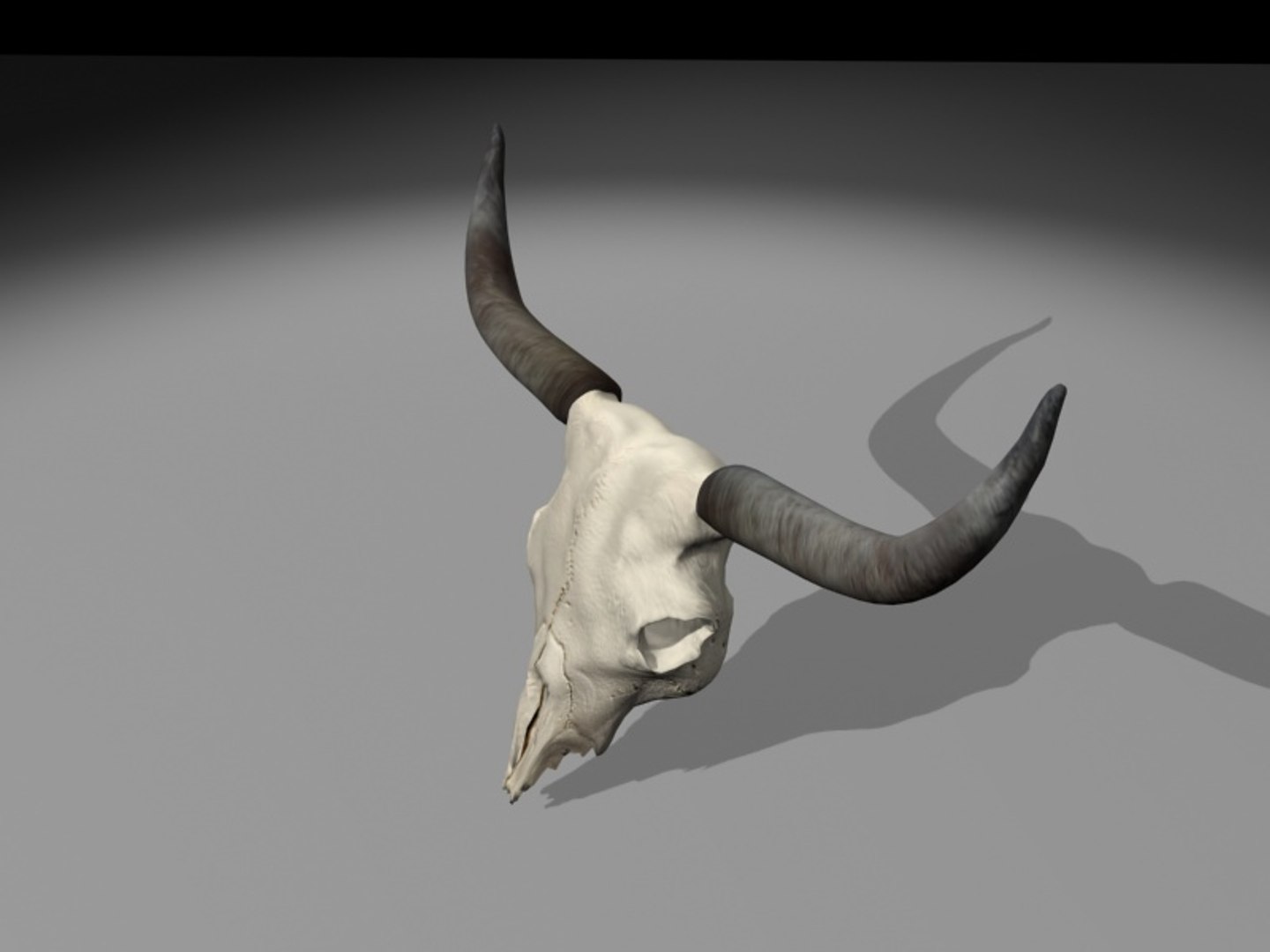 longhorn horn 3d model https://p.turbosquid.com/ts-thumb/WB/wBKNyT/EbHxXdW3/longhorn_turn0003/jpg/1368603169/1920x1080/fit_q87/88d6c34bb13fccebfc6d80a786e3e9ab9584fd90/longhorn_turn0003.jpg