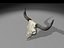 longhorn