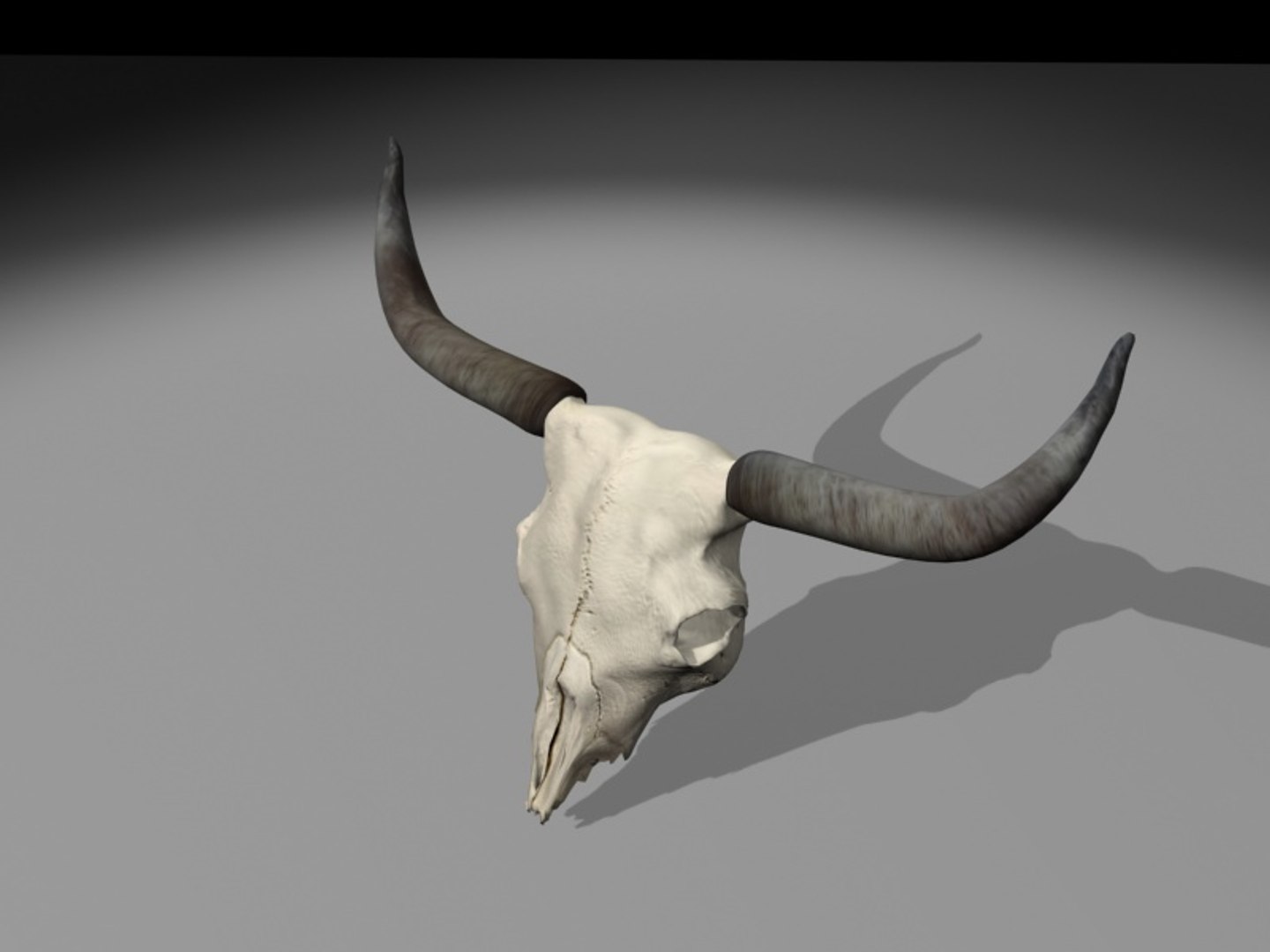 longhorn horn 3d model https://p.turbosquid.com/ts-thumb/WB/wBKNyT/UKXsWMGB/longhorn_turn0004/jpg/1368603169/1920x1080/fit_q87/35b472b4986d0554a47da3f79c6dcc1ac4c440d0/longhorn_turn0004.jpg