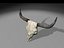 longhorn
