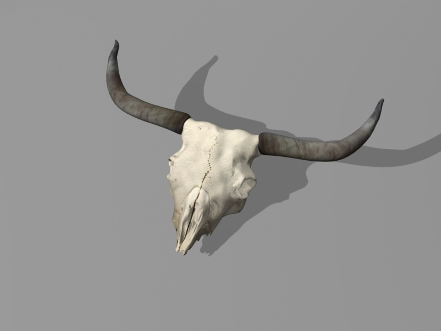 longhorn horn 3d model https://p.turbosquid.com/ts-thumb/WB/wBKNyT/WDqJrJh9/longhorn/jpg/1368603281/1920x1080/turn_fit_q99/0400c9fc04b80ee72cd9099248f159d9ab585ef5/longhorn-1.jpg