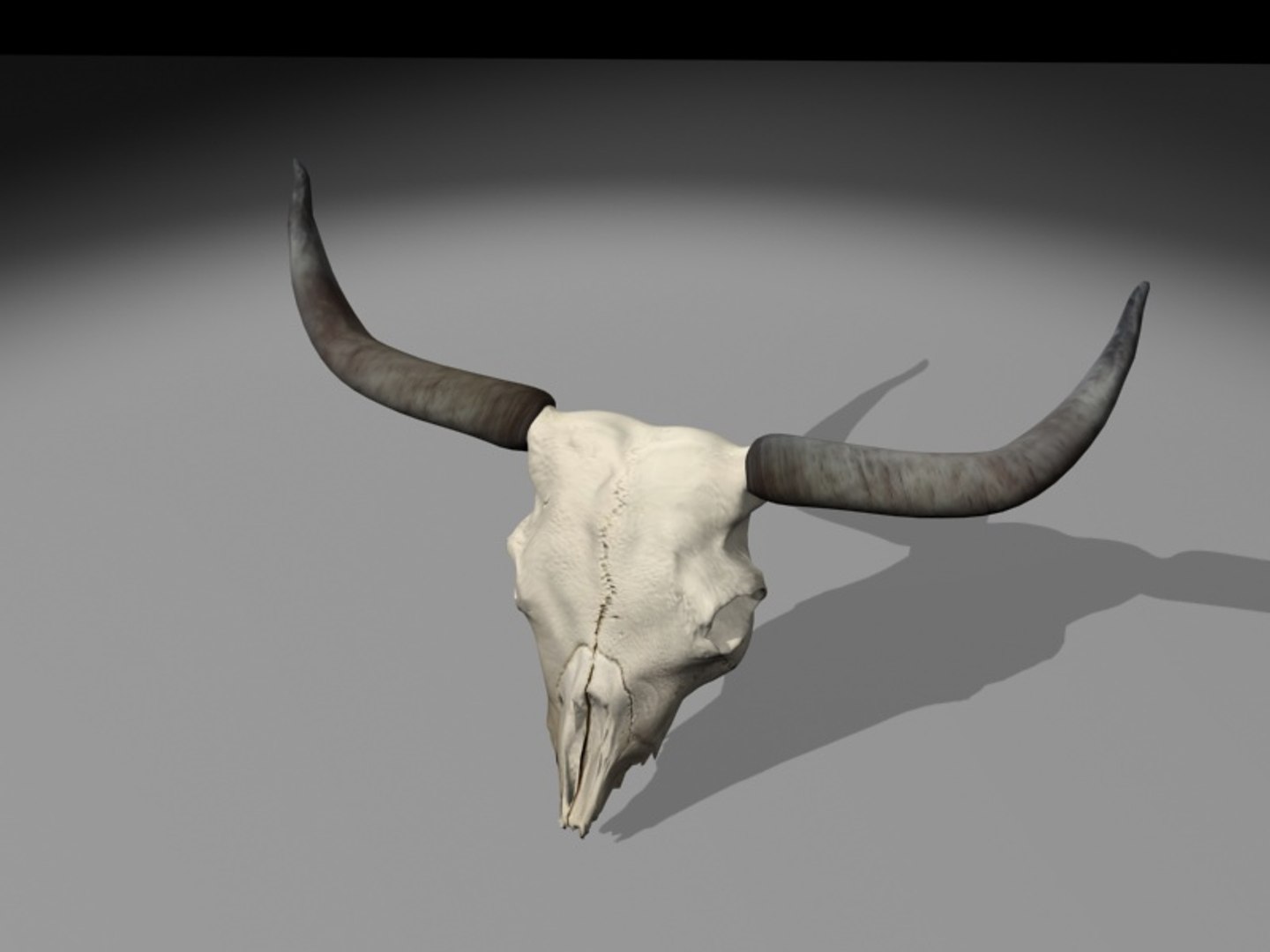 longhorn horn 3d model https://p.turbosquid.com/ts-thumb/WB/wBKNyT/WRpB2dlu/longhorn_turn0005/jpg/1368603169/1920x1080/fit_q87/55b09d34eb9c8c58f7d82f1af37602002b4cc856/longhorn_turn0005.jpg