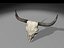 longhorn