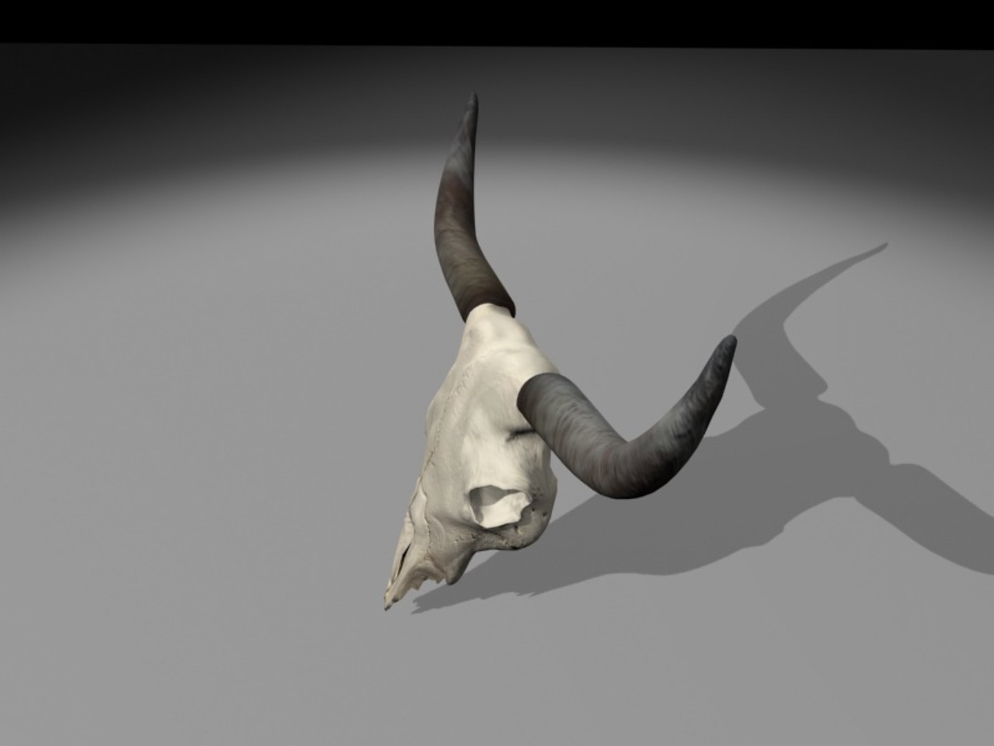 longhorn horn 3d model https://p.turbosquid.com/ts-thumb/WB/wBKNyT/kDA3ye7p/longhorn_turn0002/jpg/1368603169/1920x1080/fit_q87/b1de129e6f3a4227c356742e11bc426787d04c78/longhorn_turn0002.jpg