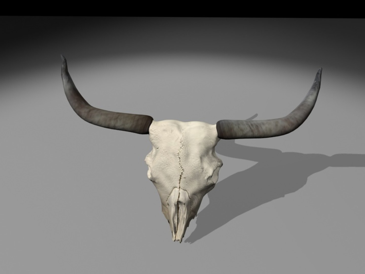 longhorn horn 3d model https://p.turbosquid.com/ts-thumb/WB/wBKNyT/uMWqucuI/longhorn_turn0006/jpg/1368603169/1920x1080/fit_q87/45e6f643236d500df8f304129f0620166545fd84/longhorn_turn0006.jpg