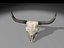 longhorn