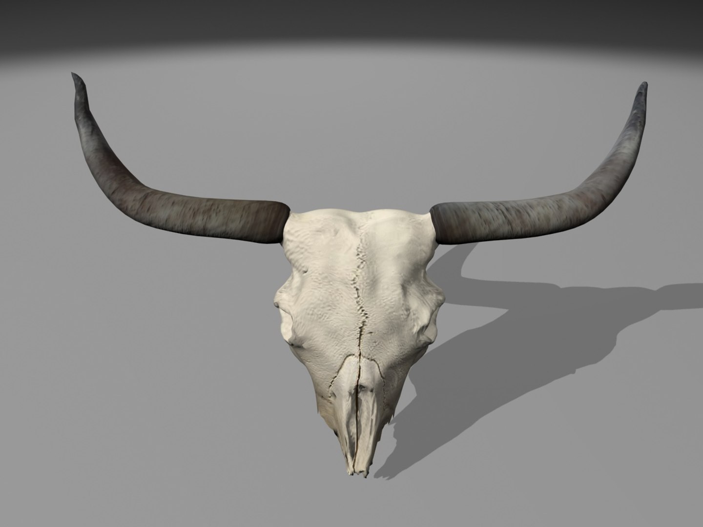 longhorn horn 3d model https://p.turbosquid.com/ts-thumb/WB/wBKNyT/x0iHjIis/longhorn_2/jpg/1368603146/1920x1080/fit_q87/b13f1f57d10c101b0c462ffa9d8bb5c3c906b616/longhorn_2.jpg