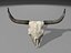 longhorn
