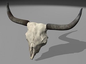 longhorn