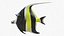 Realistic Moorish Idol Tropical Fish