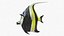 Realistic Moorish Idol Tropical Fish