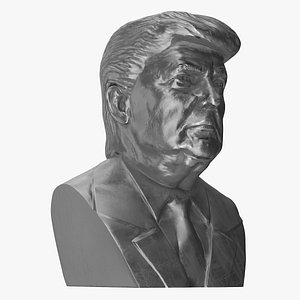 Silver Bust of President Trump 3D model
