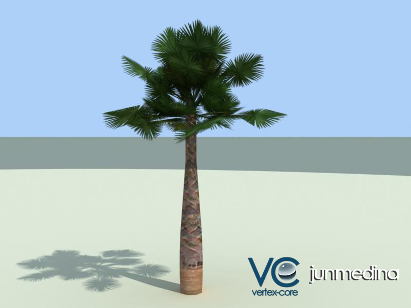 palm tree max