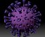 Coronavirus COVID-19