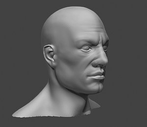 Male Head Sculpt 5 | 3D model