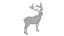 Musk deer