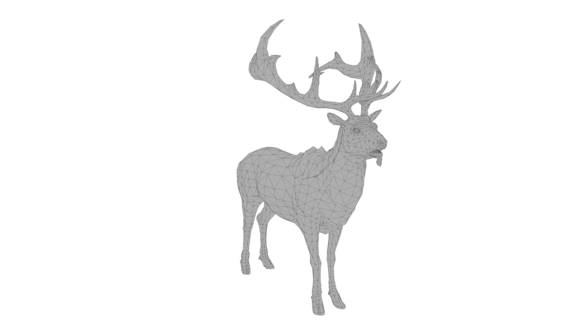 3D Musk deer https://p.turbosquid.com/ts-thumb/WC/UiFhQJ/59/dfs0022/jpg/1656160240/1920x1080/fit_q87/e7f53ebf021e8da69b82cab80021ef0ac63f145b/dfs0022.jpg