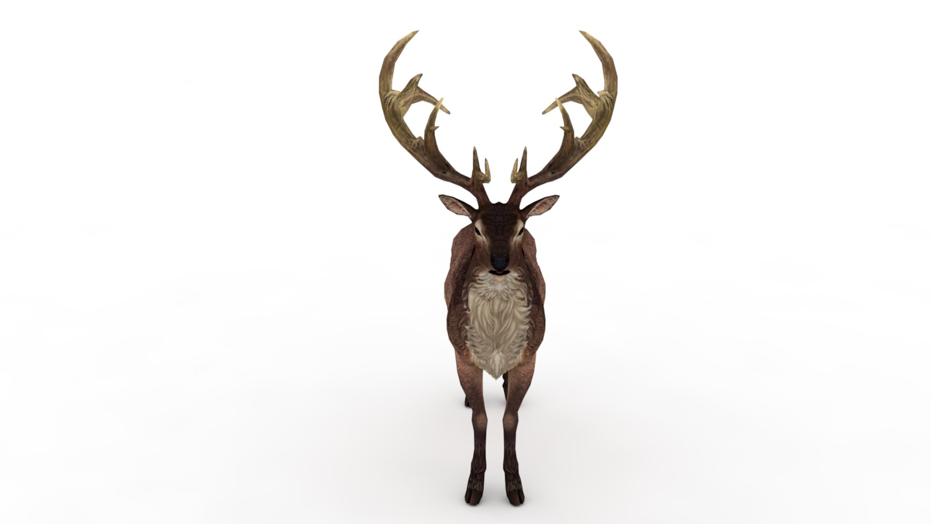 3D Musk deer https://p.turbosquid.com/ts-thumb/WC/UiFhQJ/6X/dfs0004/jpg/1656160232/1920x1080/fit_q87/c3d711c0f16344d537e3a3b4ebcb7a27e730390d/dfs0004.jpg