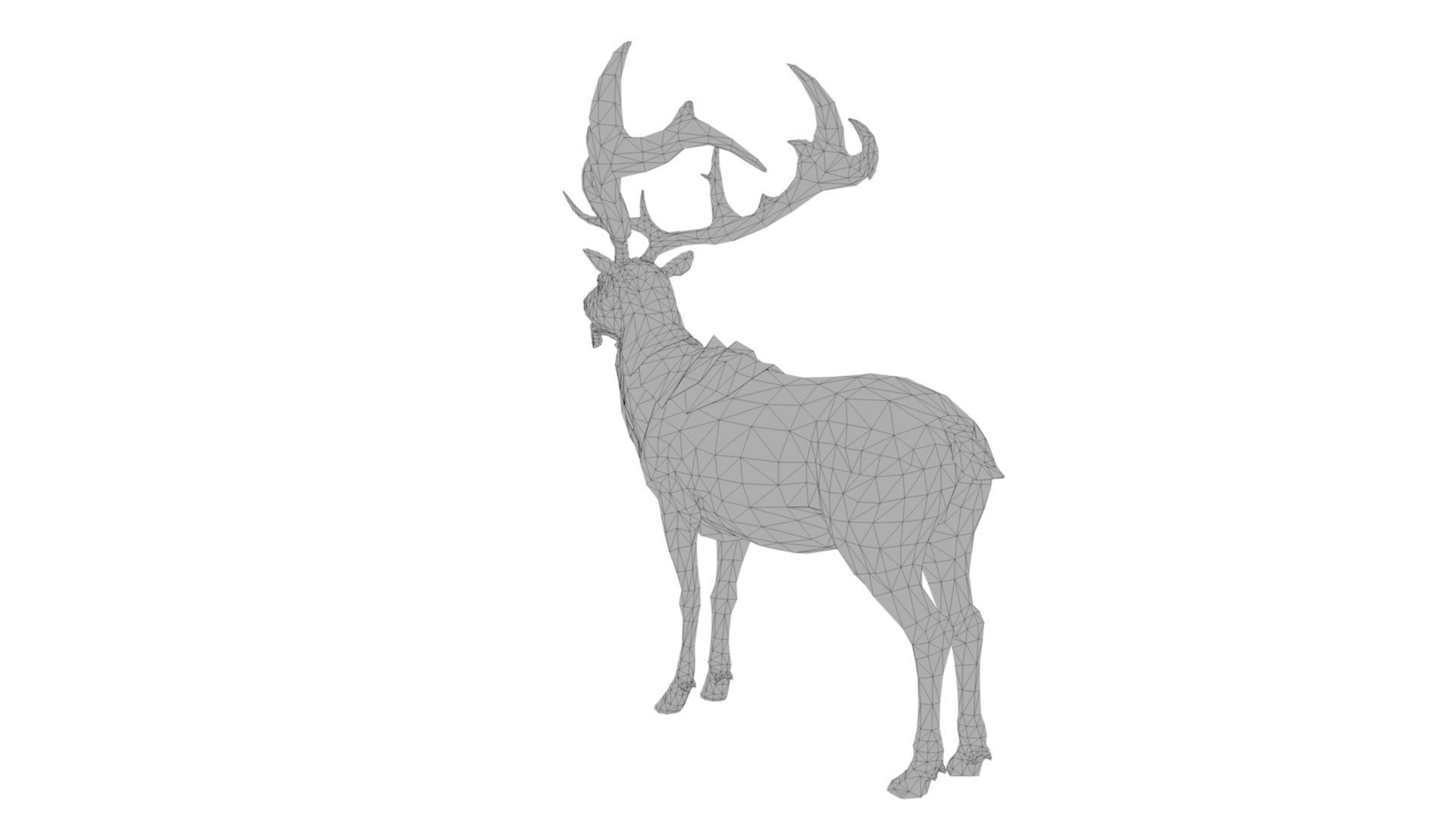 3D Musk deer https://p.turbosquid.com/ts-thumb/WC/UiFhQJ/6m/dfs0016/jpg/1656160238/1920x1080/fit_q87/871dbe05970d76b462eb7ba34c9e9c41e37154f0/dfs0016.jpg