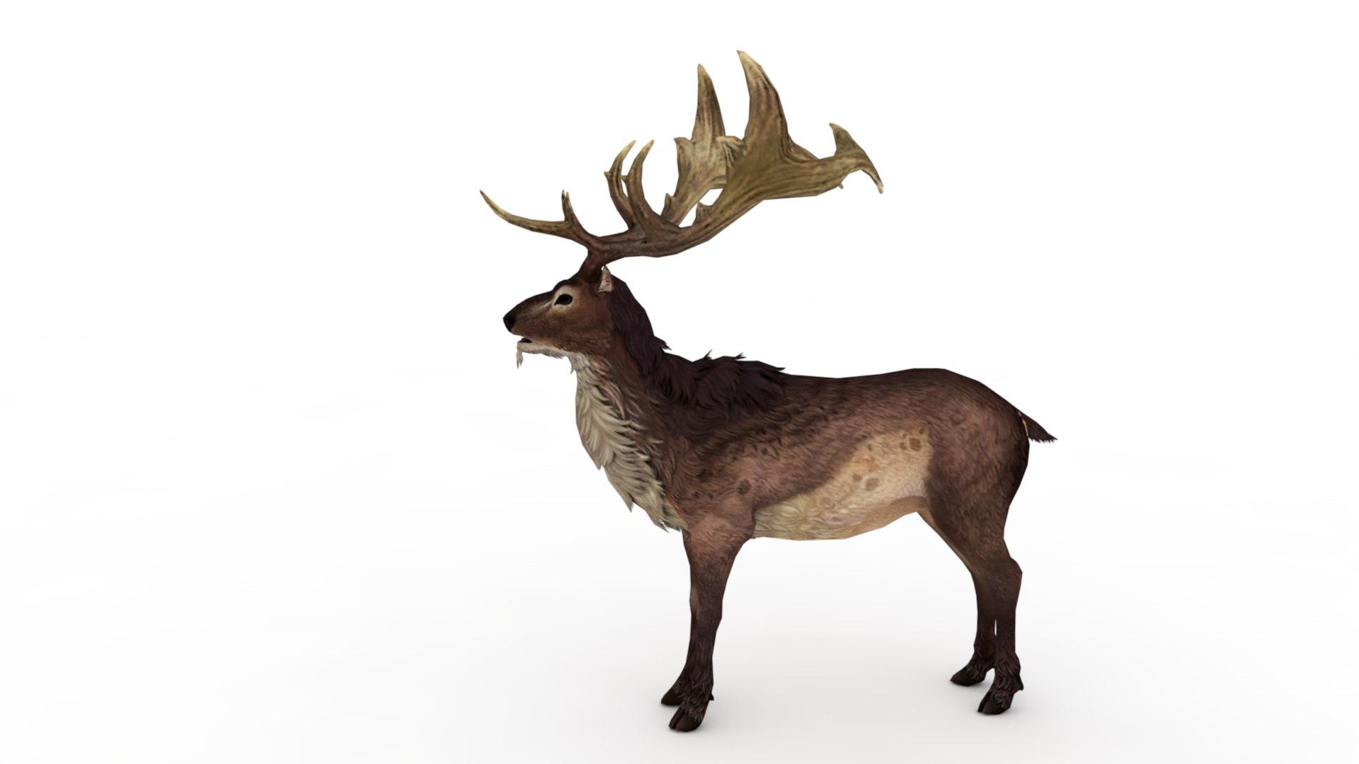 3D Musk deer https://p.turbosquid.com/ts-thumb/WC/UiFhQJ/AQ/dfs0007/jpg/1656160234/1920x1080/fit_q87/0bab02750337d0e76e15b47b16a8f44560736e7f/dfs0007.jpg