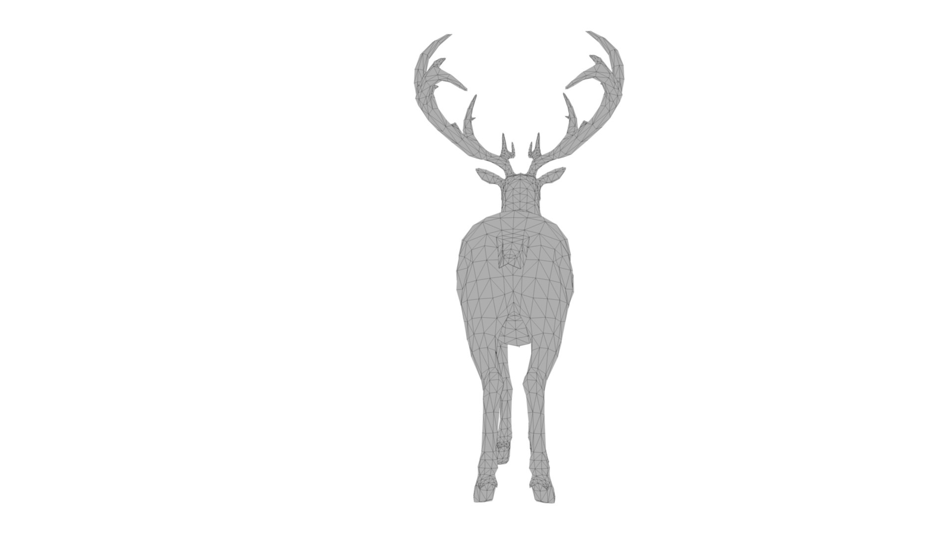3D Musk deer https://p.turbosquid.com/ts-thumb/WC/UiFhQJ/DS/dfs0018/jpg/1656160238/1920x1080/fit_q87/6aa053e6b2874fb98e641d52f65be110433deaf1/dfs0018.jpg
