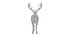 Musk deer