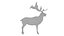 Musk deer