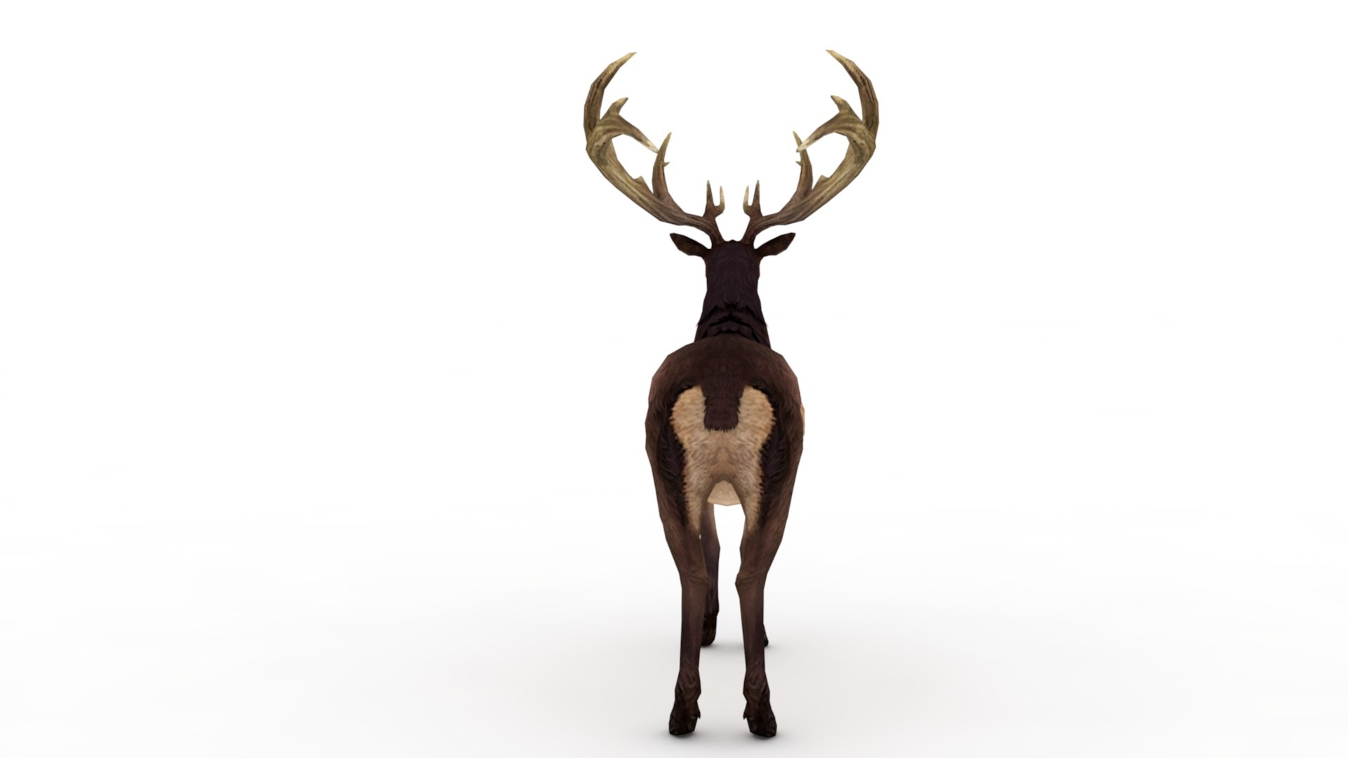 3D Musk deer https://p.turbosquid.com/ts-thumb/WC/UiFhQJ/LG/dfs0009/jpg/1656160234/1920x1080/fit_q87/85d051e3566d7ad4b6e74b9bcf2bc293e6b26383/dfs0009.jpg