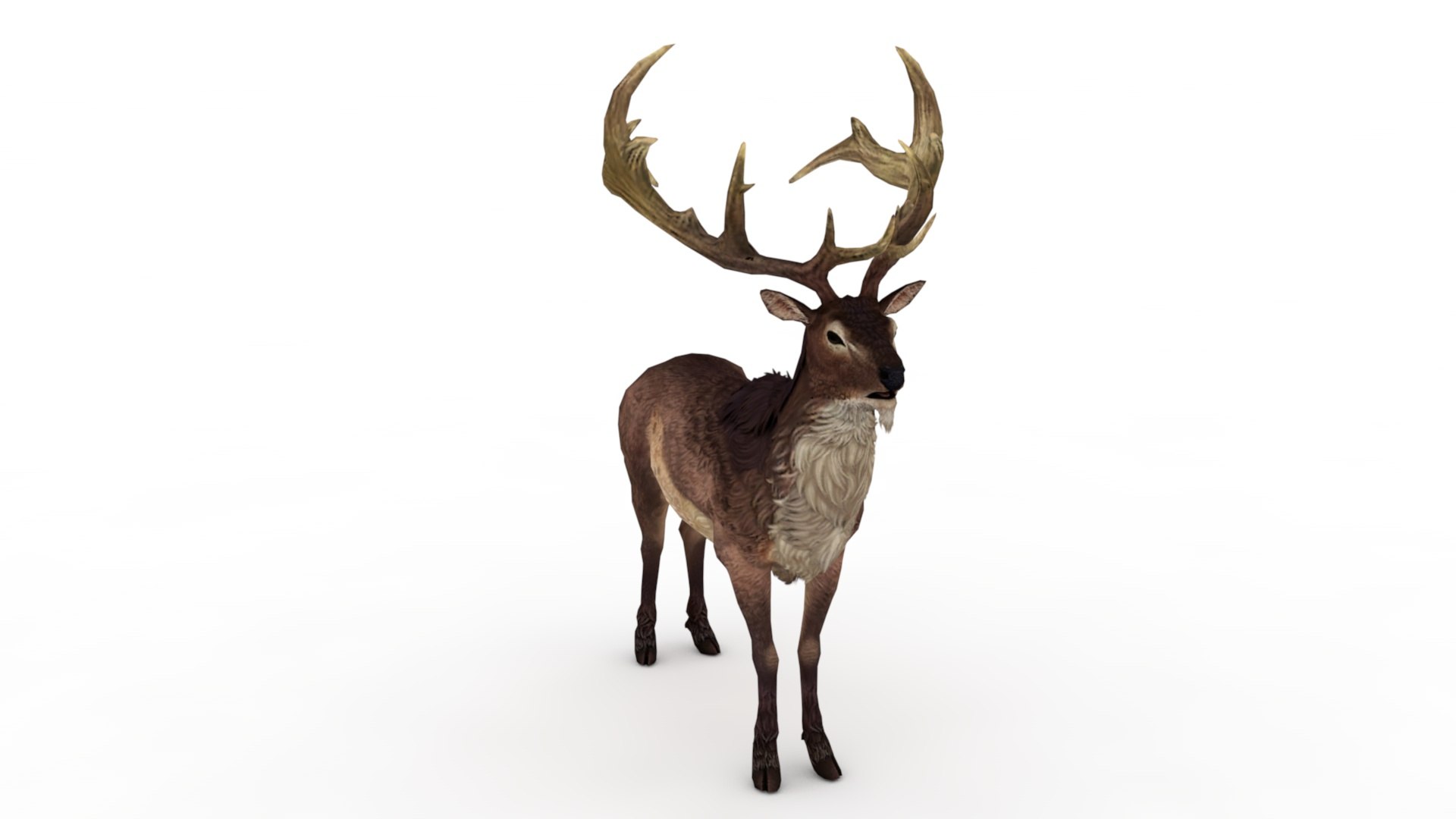 3D Musk deer https://p.turbosquid.com/ts-thumb/WC/UiFhQJ/SB/dfs0003/jpg/1656160230/1920x1080/fit_q87/9e991deacc50bc3f5ccdfcaa7cc1840265c4684d/dfs0003.jpg