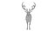 Musk deer