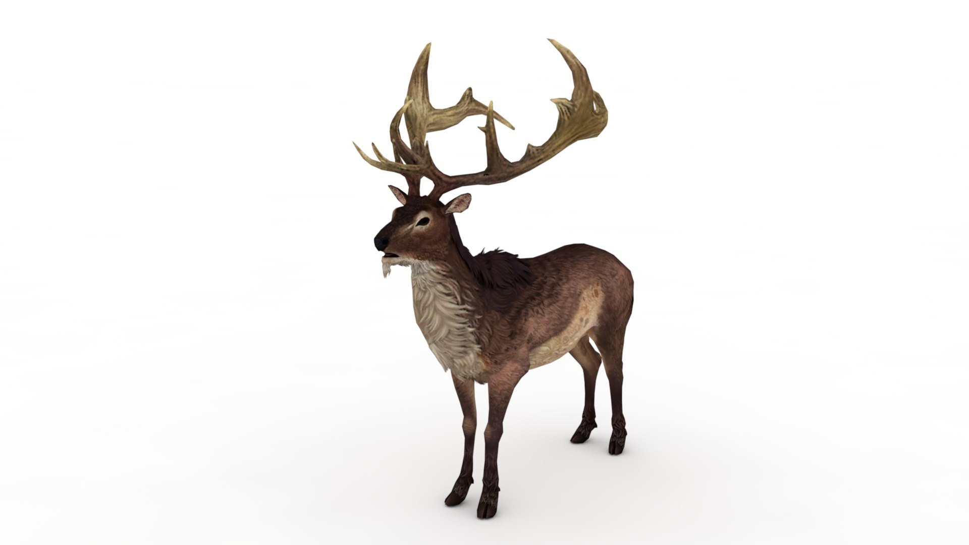 3D Musk deer https://p.turbosquid.com/ts-thumb/WC/UiFhQJ/iv/dfs0006/jpg/1656160232/1920x1080/fit_q87/012dc167a06dbfa571ba612164d2e5599d4d4711/dfs0006.jpg