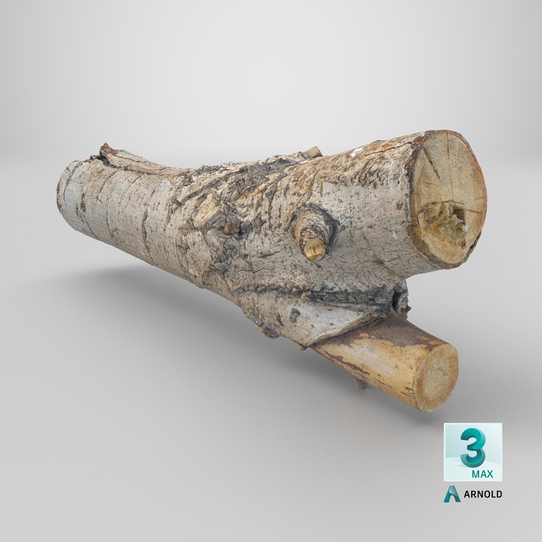 3D Tree Bark Scanned 6 StemCell https://p.turbosquid.com/ts-thumb/WC/ZgnYNc/5Z/stemcell_max_arnold_render/png/1727792300/1920x1080/fit_q87/39668e797ae8c6dcd95abe5b6cd0b78641eba000/stemcell_max_arnold_render.jpg