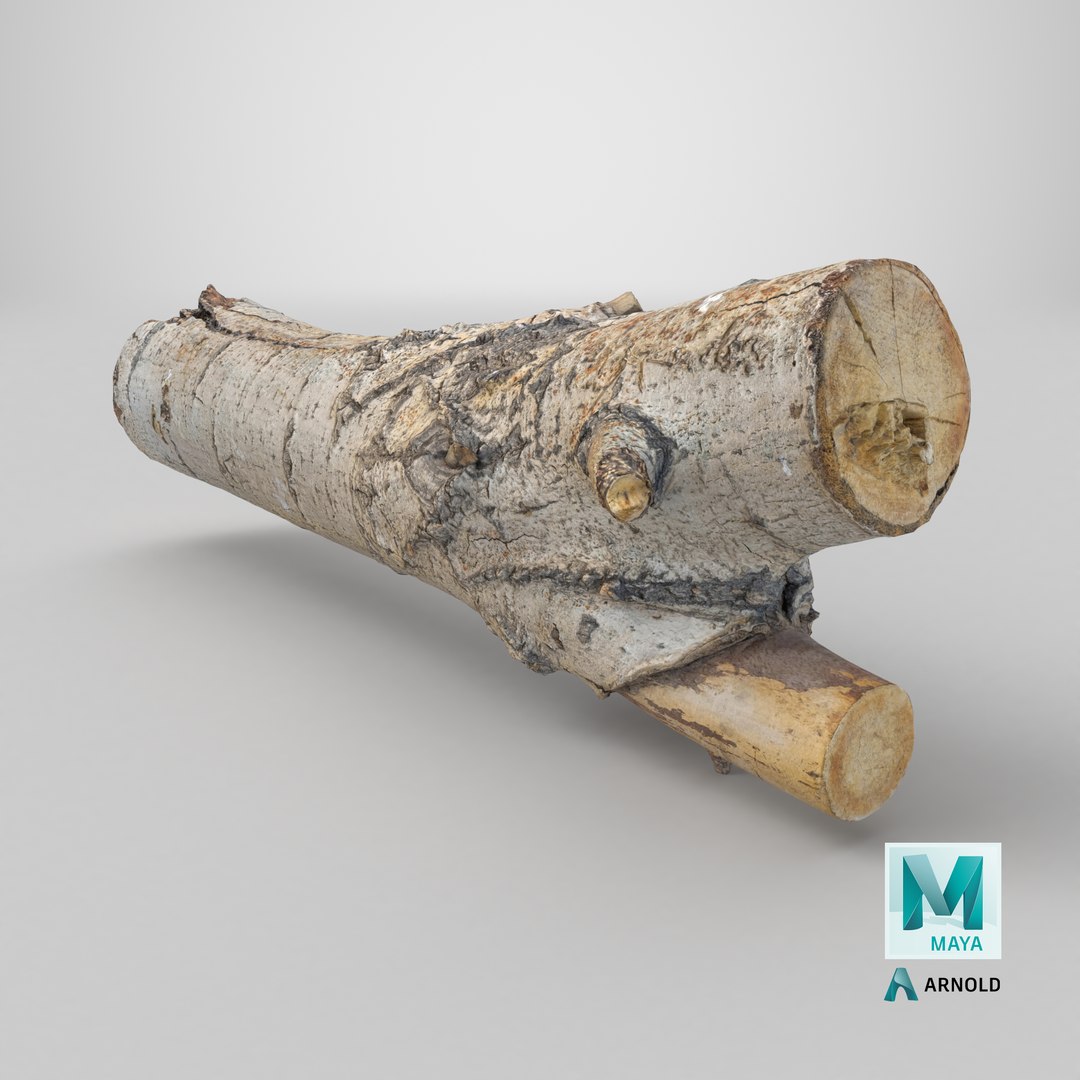 3D Tree Bark Scanned 6 StemCell https://p.turbosquid.com/ts-thumb/WC/ZgnYNc/IA/stemcell_maya_arnold_render/png/1727792289/1920x1080/fit_q87/1f2581424dfbbdd6cfbcc8756c72053b4c6064cf/stemcell_maya_arnold_render.jpg